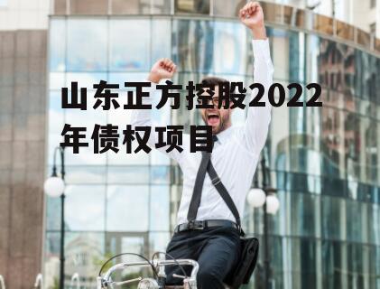 山东正方控股2022年债权项目
