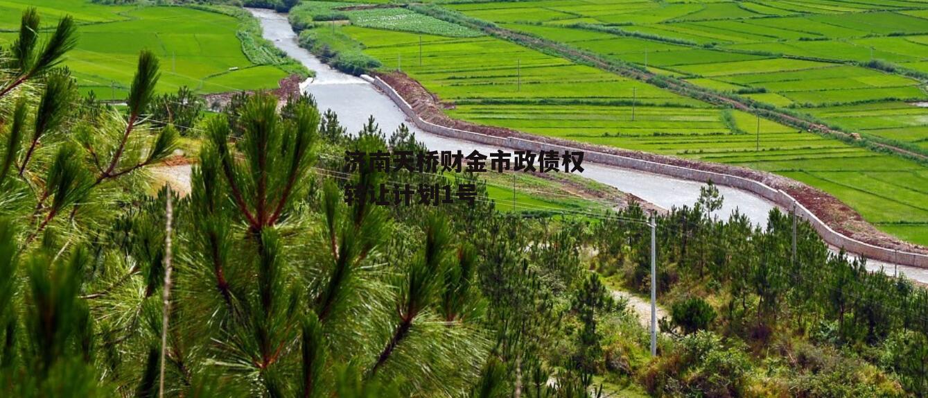 济南天桥财金市政债权转让计划1号