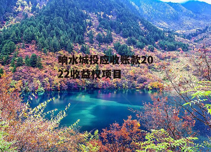 响水城投应收账款2022收益权项目