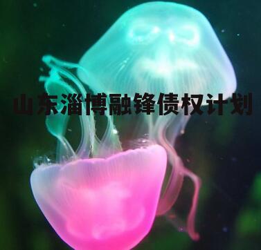 山东淄博融锋债权计划