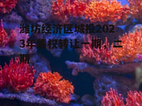 潍坊经济区城投2023年债权转让一期，二期