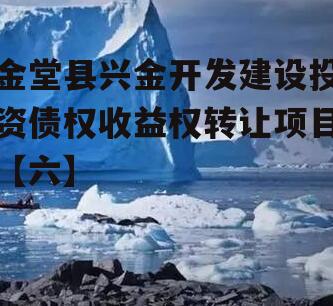金堂县兴金开发建设投资债权收益权转让项目【六】