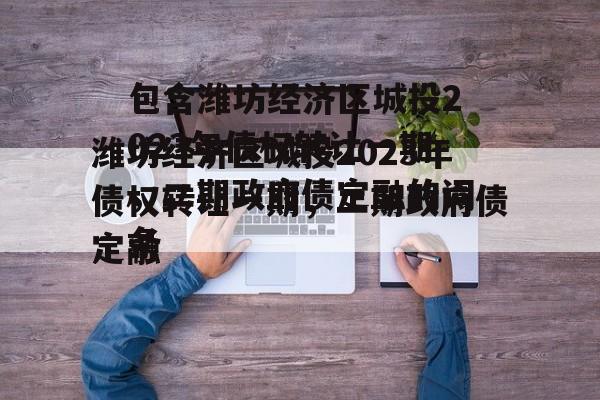 包含潍坊经济区城投2023年债权转让一期，二期政府债定融的词条