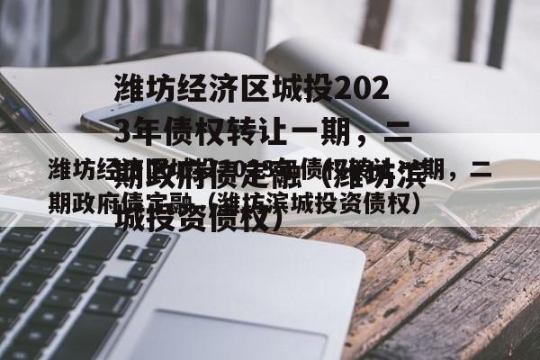 潍坊经济区城投2023年债权转让一期，二期政府债定融（潍坊滨城投资债权）