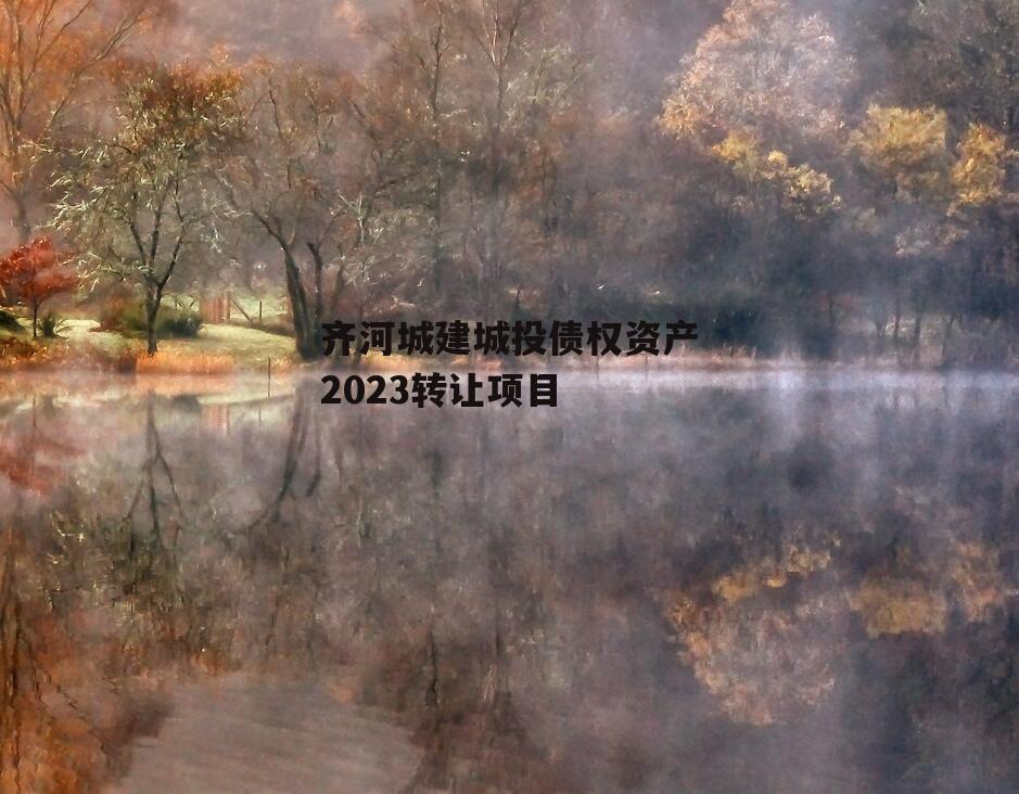 齐河城建城投债权资产2023转让项目