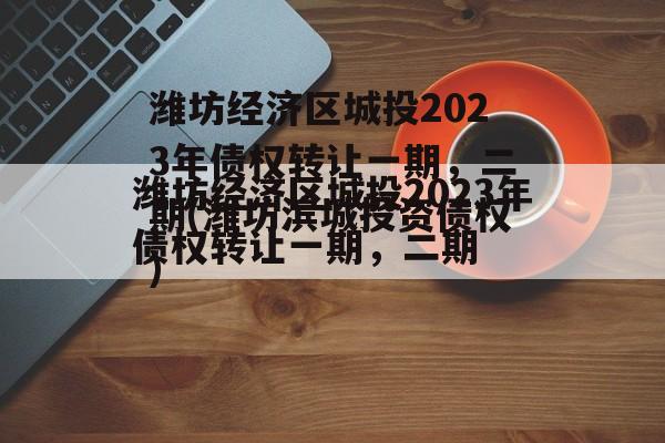 潍坊经济区城投2023年债权转让一期，二期(潍坊滨城投资债权)