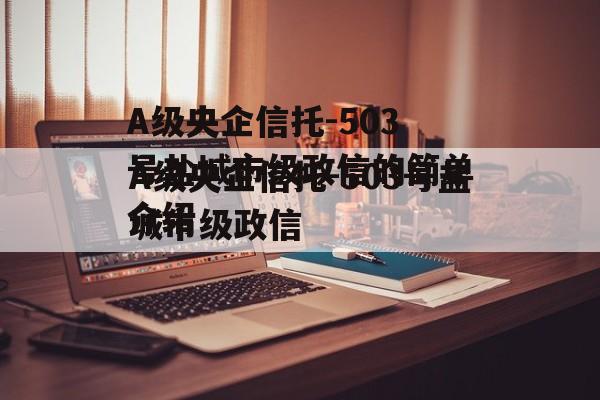 A级央企信托-503号盐城市级政信的简单介绍