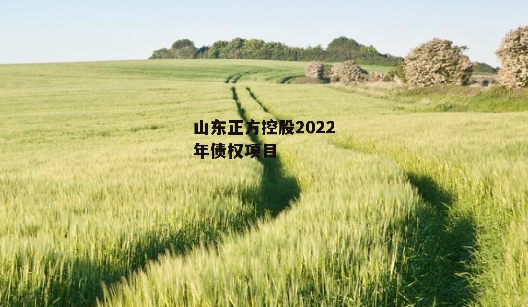 山东正方控股2022年债权项目
