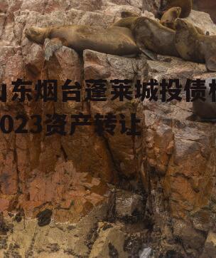 山东烟台蓬莱城投债权2023资产转让