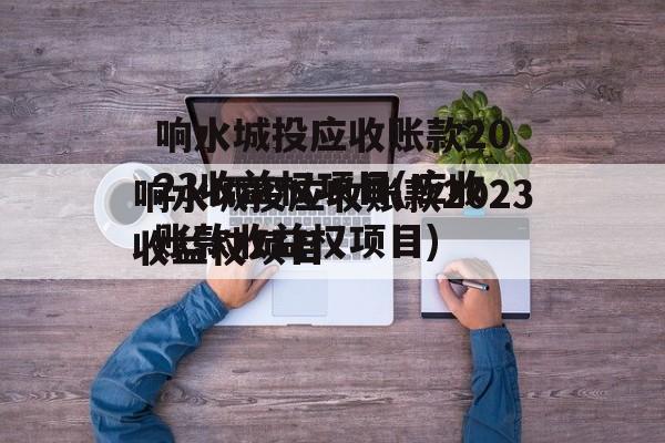 响水城投应收账款2023收益权项目(应收账款收益权项目)