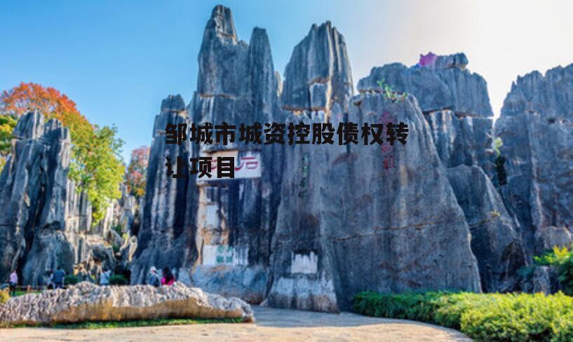 邹城市城资控股债权转让项目