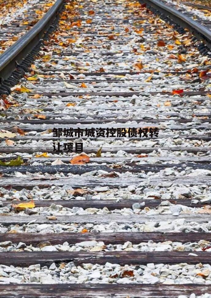 邹城市城资控股债权转让项目