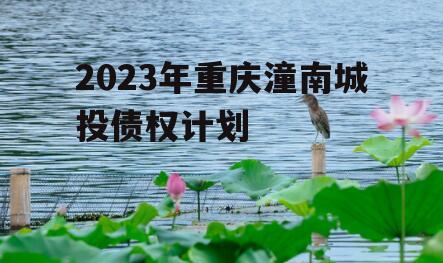 2023年重庆潼南城投债权计划