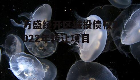 万盛经开区城投债权2022年转让项目