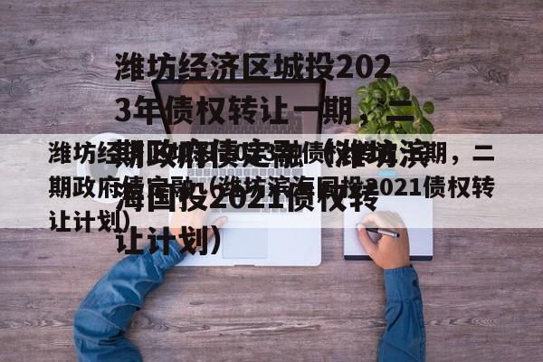 潍坊经济区城投2023年债权转让一期，二期政府债定融（潍坊滨海国投2021债权转让计划）