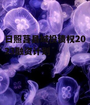 日照莒县城投债权2023融资计划