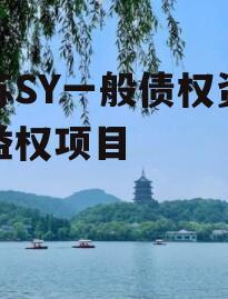 江苏SY一般债权资产收益权项目