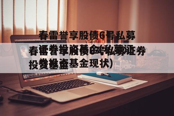 春雷誉享股债6号私募证券投资基金(私募证券投资基金现状)