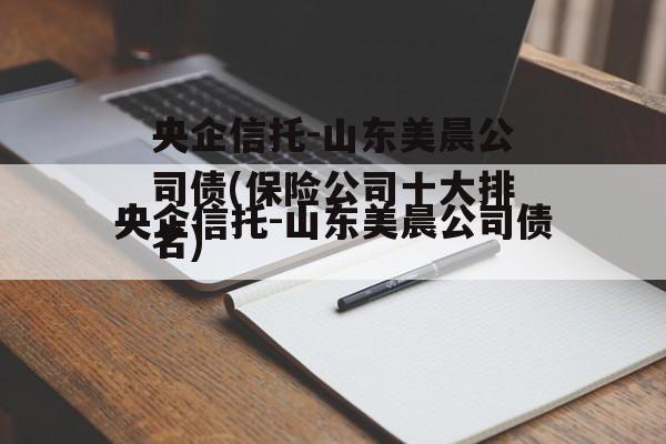 央企信托-山东美晨公司债(保险公司十大排名)