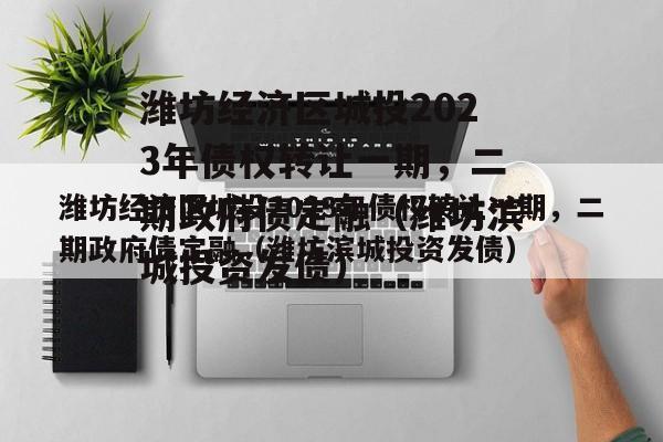 潍坊经济区城投2023年债权转让一期，二期政府债定融（潍坊滨城投资发债）
