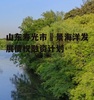 山东寿光市昇景海洋发展债权融资计划