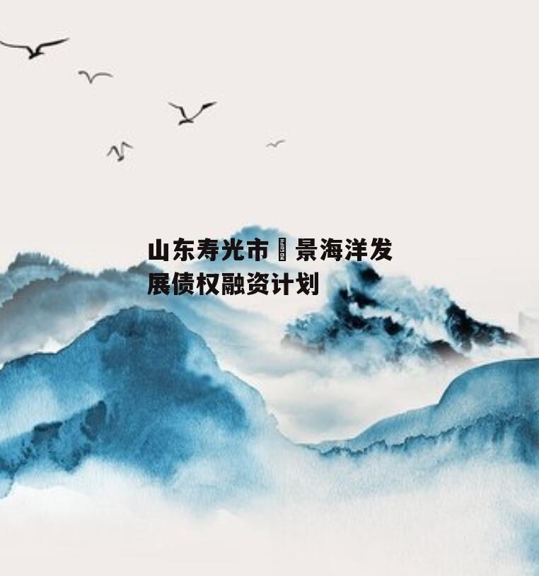 山东寿光市昇景海洋发展债权融资计划