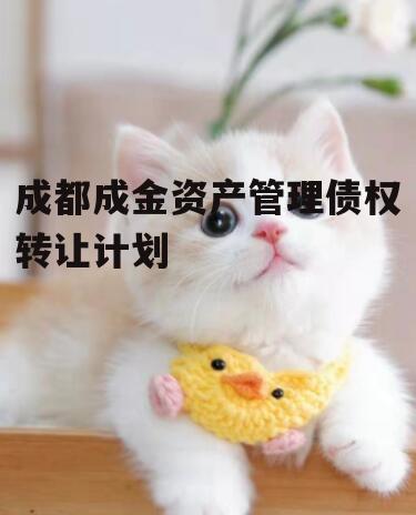 成都成金资产管理债权转让计划