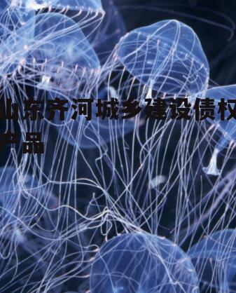 山东齐河城乡建设债权产品