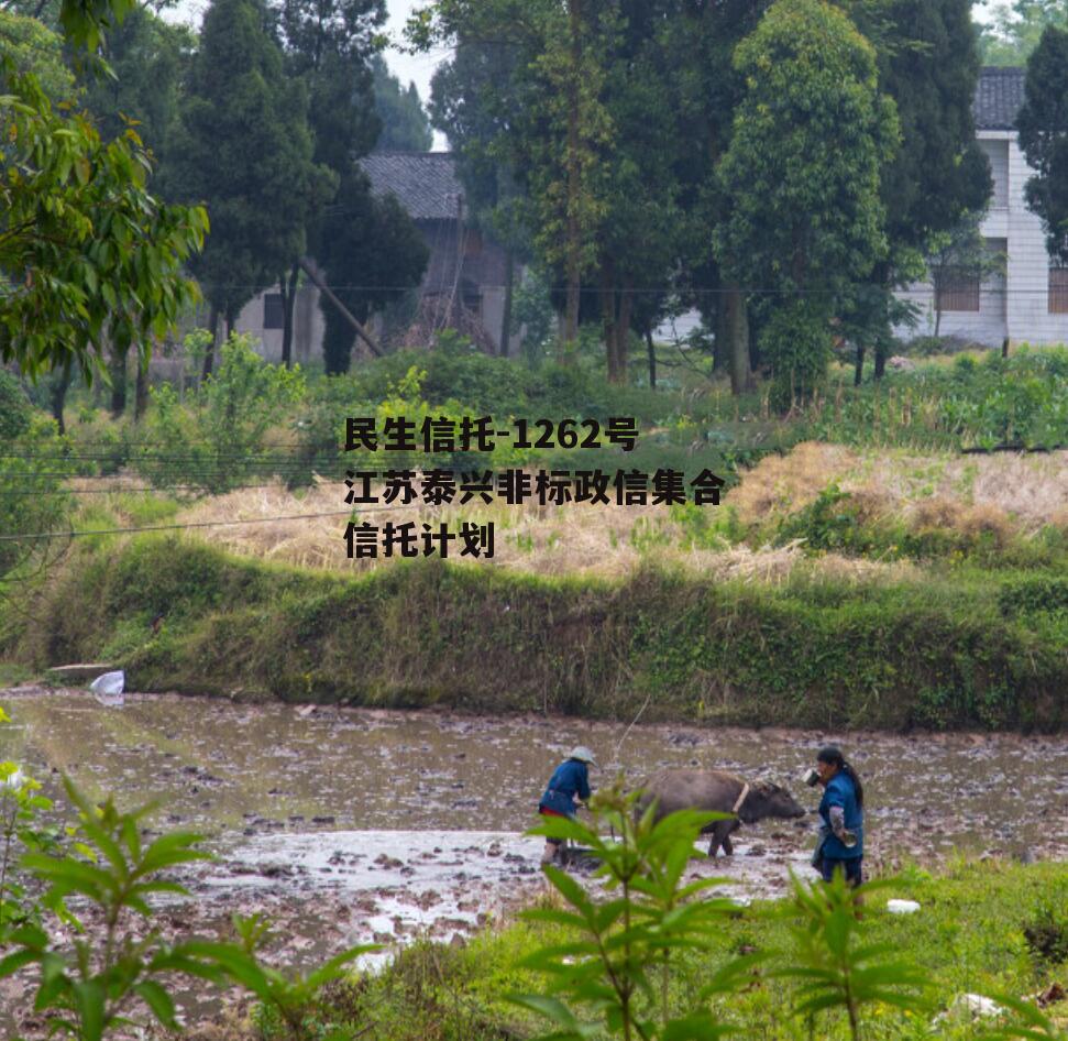 民生信托-1262号江苏泰兴非标政信集合信托计划