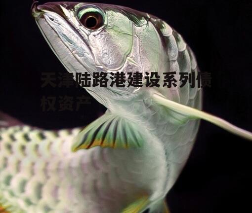 天津陆路港建设系列债权资产
