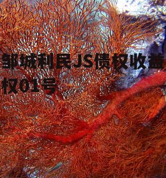 邹城利民JS债权收益权01号