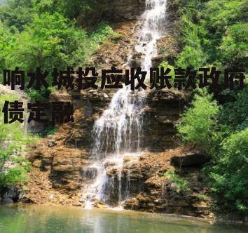 响水城投应收账款政府债定融