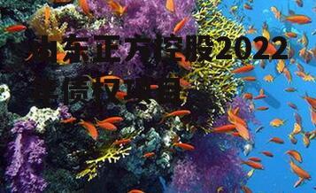 山东正方控股2022年债权项目