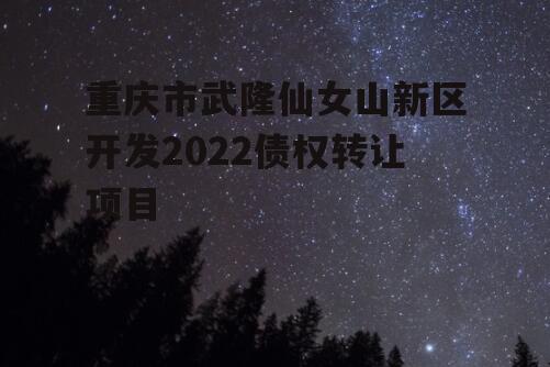 重庆市武隆仙女山新区开发2022债权转让项目