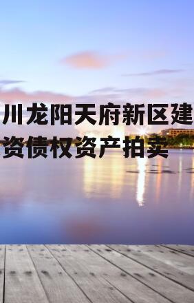 四川龙阳天府新区建设投资债权资产拍卖