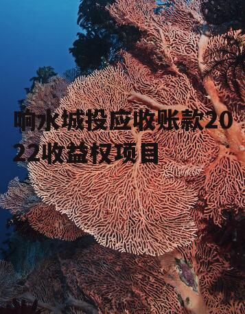 响水城投应收账款2022收益权项目