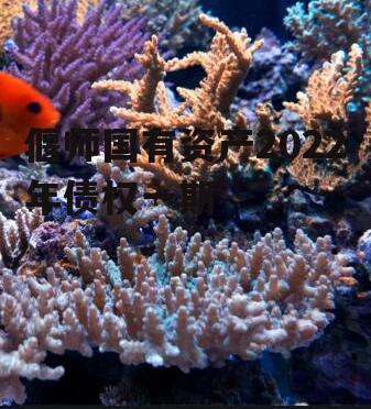 偃师国有资产2022年债权一期