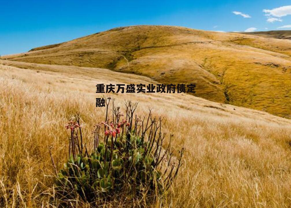 重庆万盛实业政府债定融