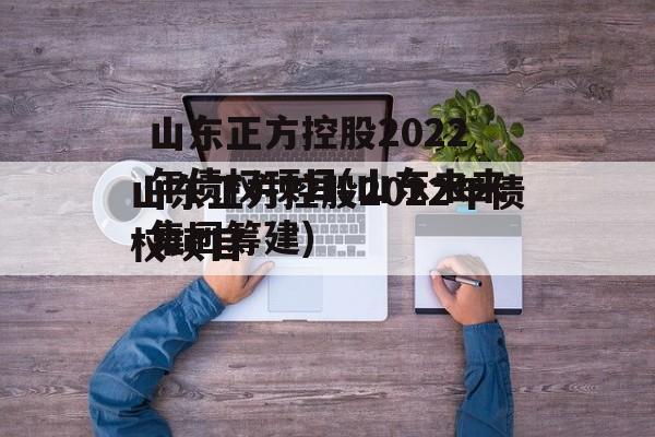 山东正方控股2022年债权项目(山东未来集团筹建)