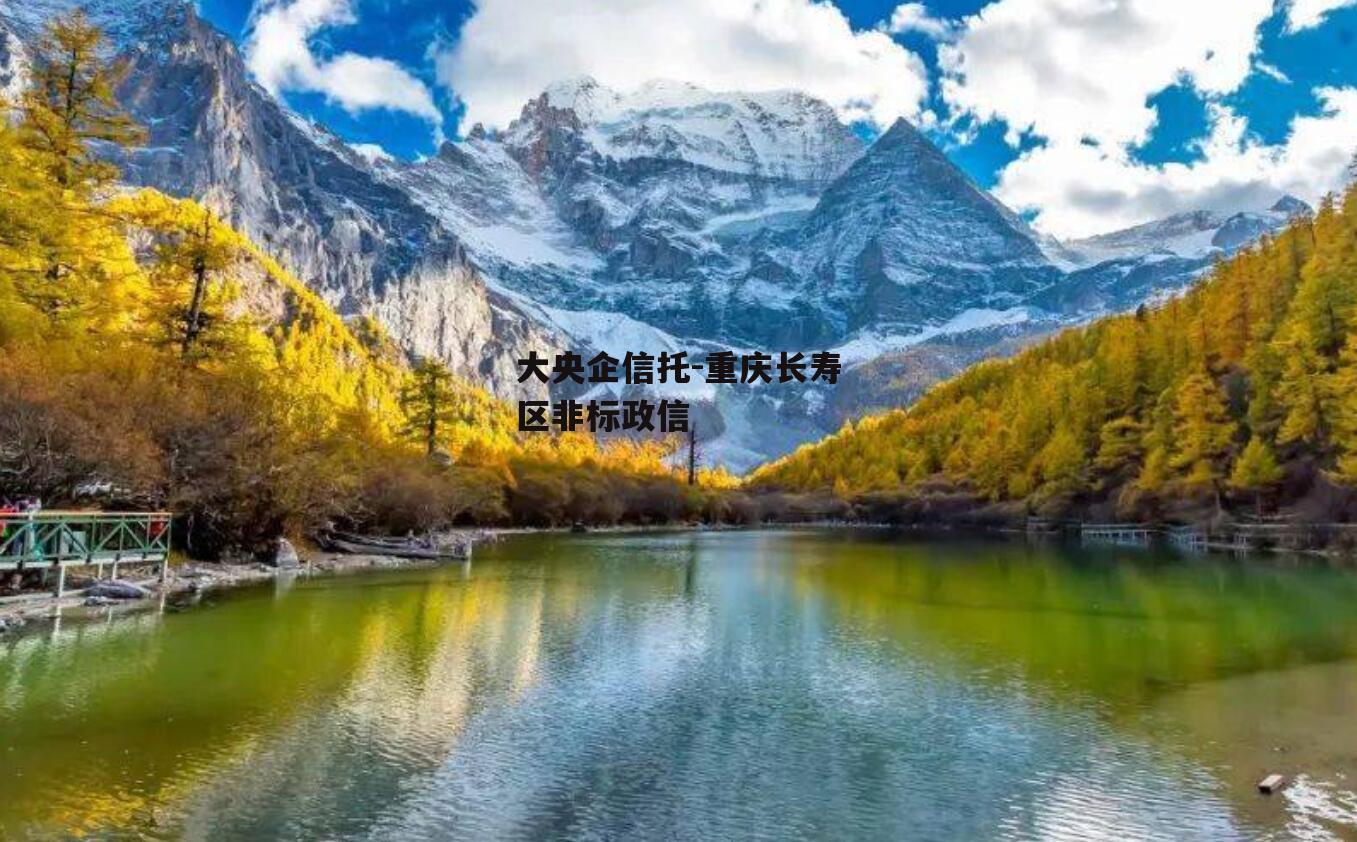 大央企信托-重庆长寿区非标政信