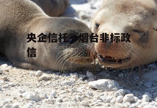 央企信托—烟台非标政信