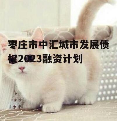 枣庄市中汇城市发展债权2023融资计划