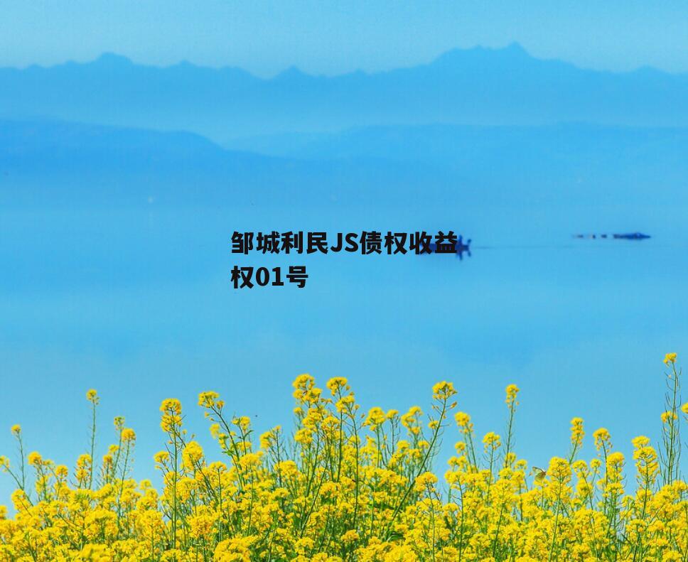 邹城利民JS债权收益权01号