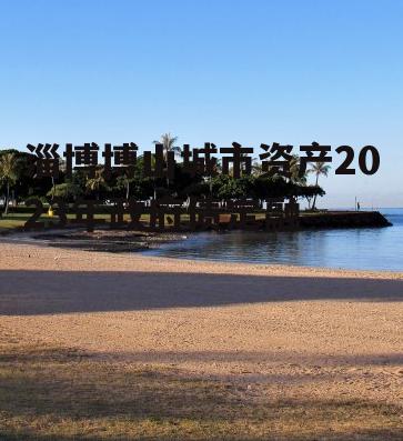 淄博博山城市资产2023年政府债定融