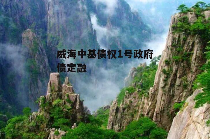 威海中基债权1号政府债定融