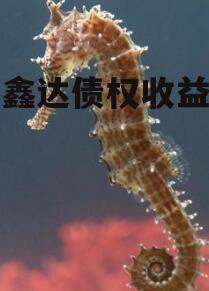 博兴鑫达债权收益权项目