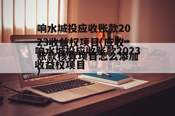 响水城投应收账款2023收益权项目(应收账款核算项目怎么添加)