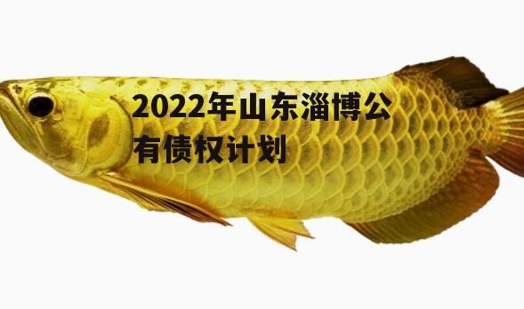 2022年山东淄博公有债权计划