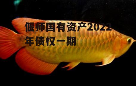 偃师国有资产2022年债权一期