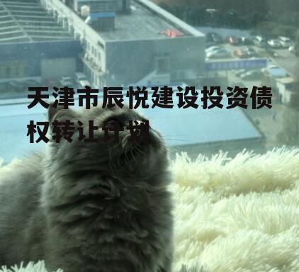 天津市辰悦建设投资债权转让计划